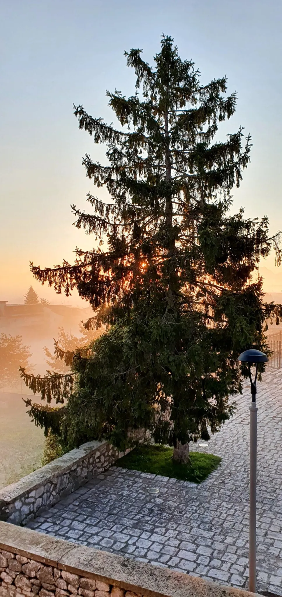 Buongiorno 21 ottobre 2020 Buongiorno 21 ottobre 2020