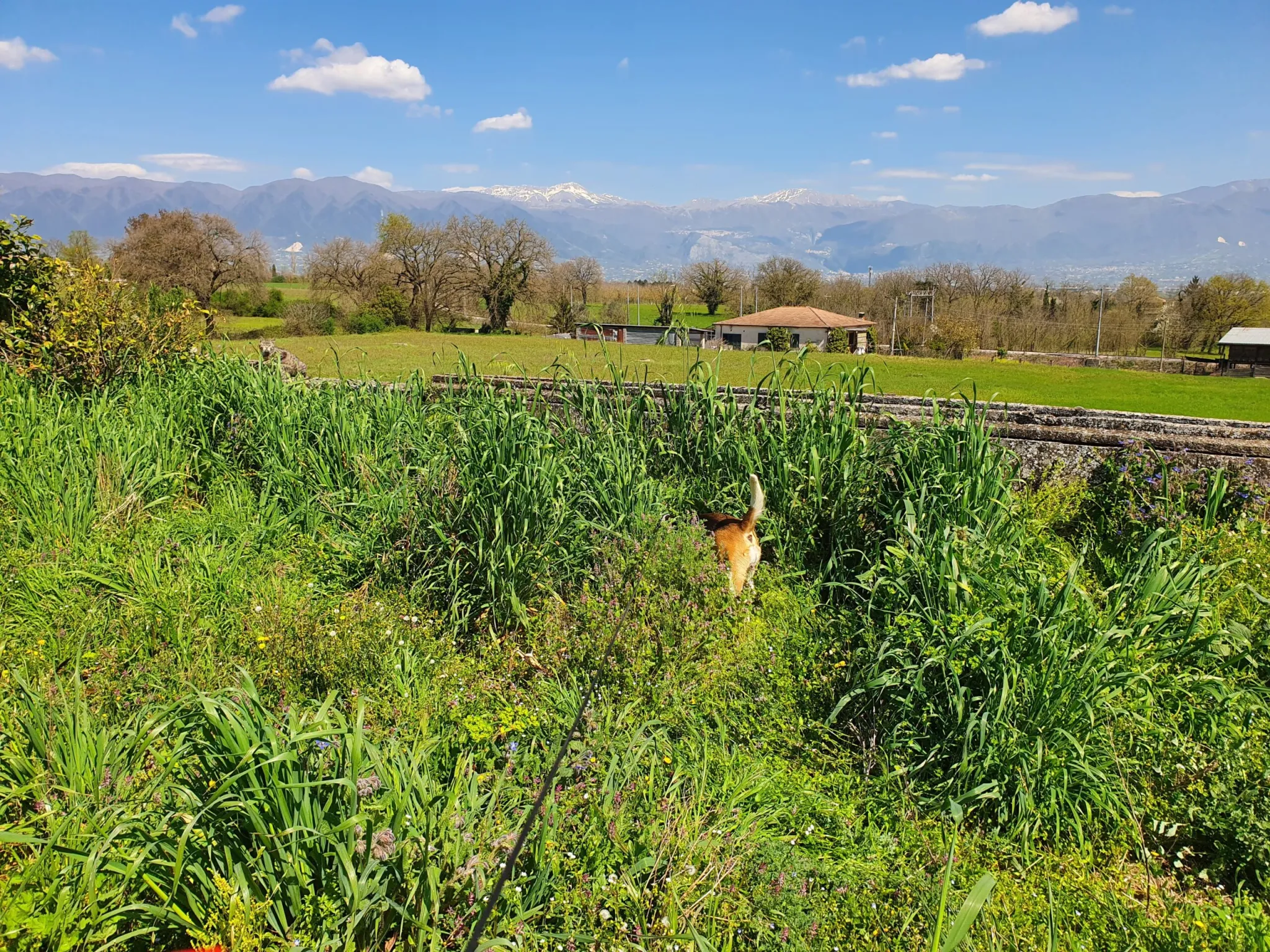 Lussy immersa nel verde