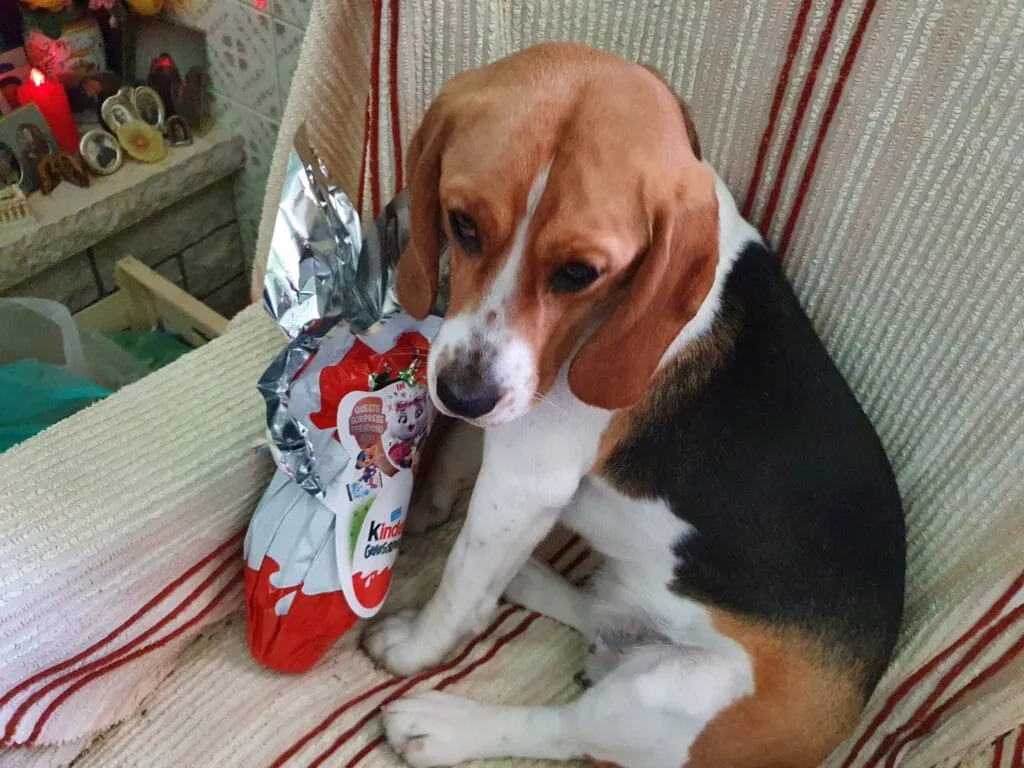 Lussy con il suo uovo di Pasqua