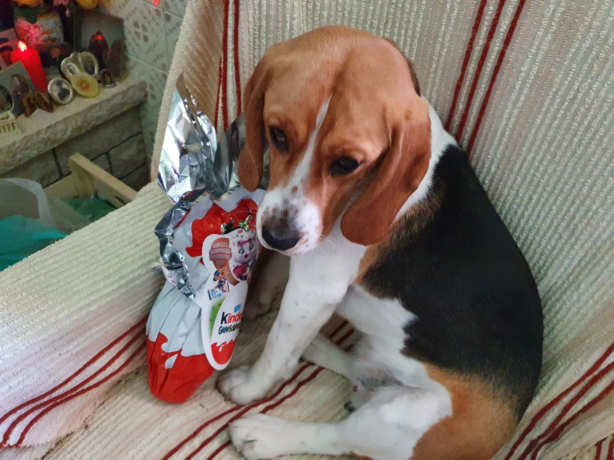 Lussy con il suo uovo di Pasqua