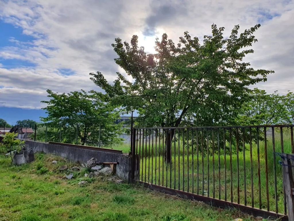 il vecchio giardino Ruberto's