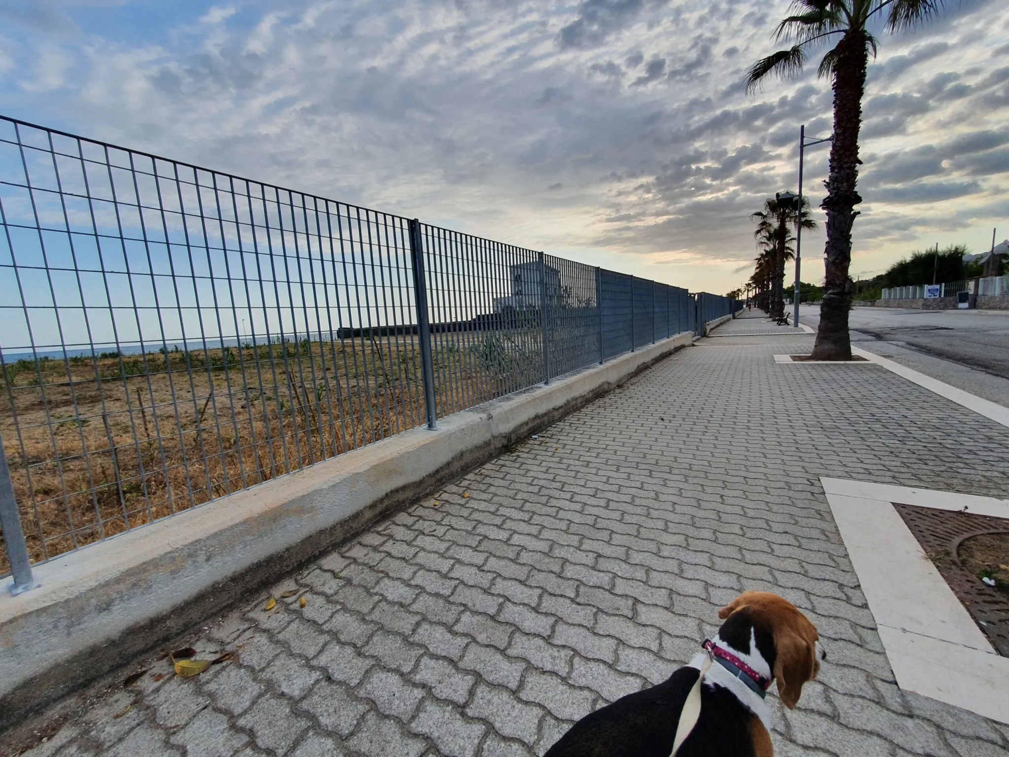 Lussy sul lungomare di Lido del Sole