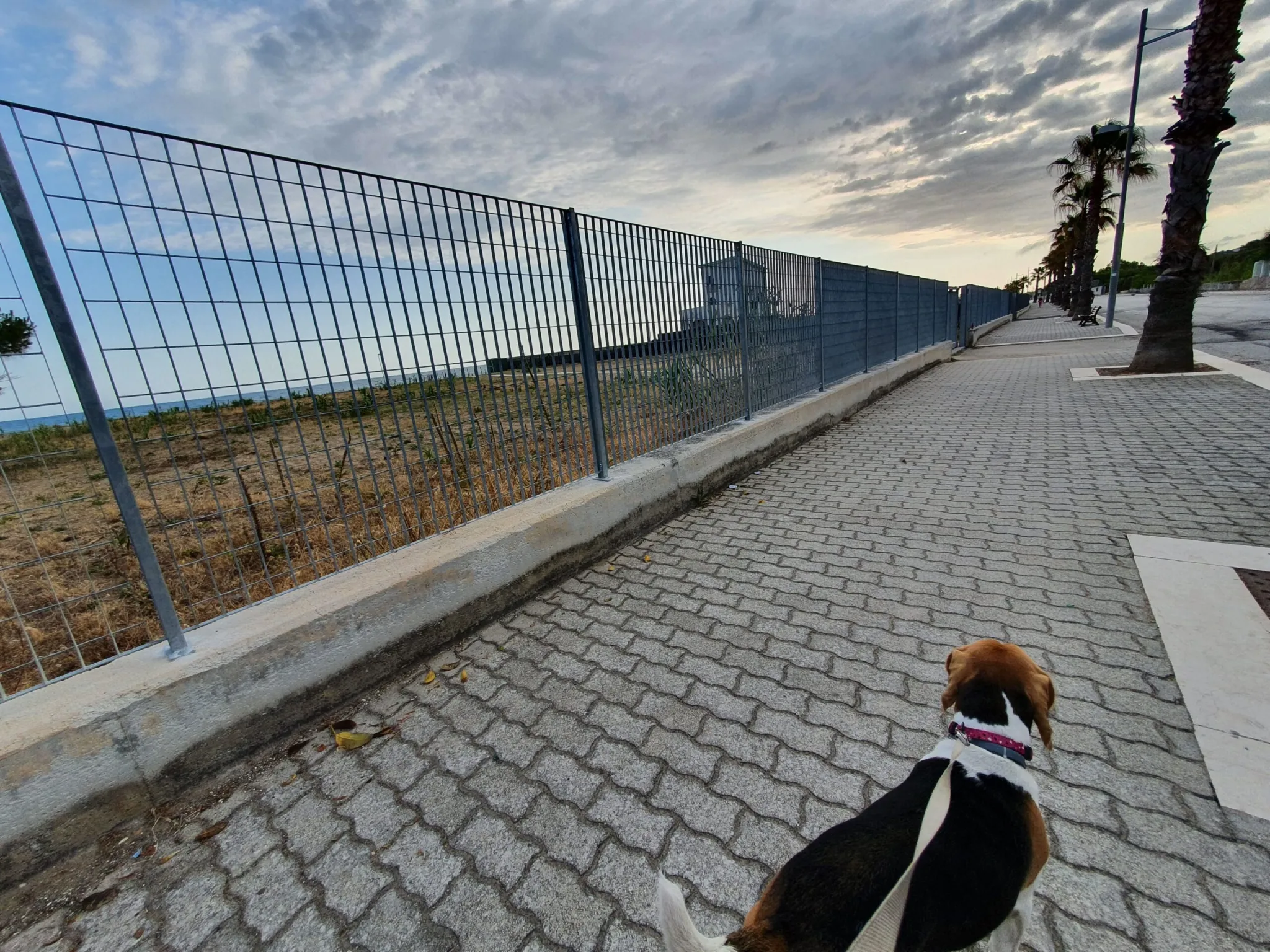 Lussy sul lungomare di Lido del Sole