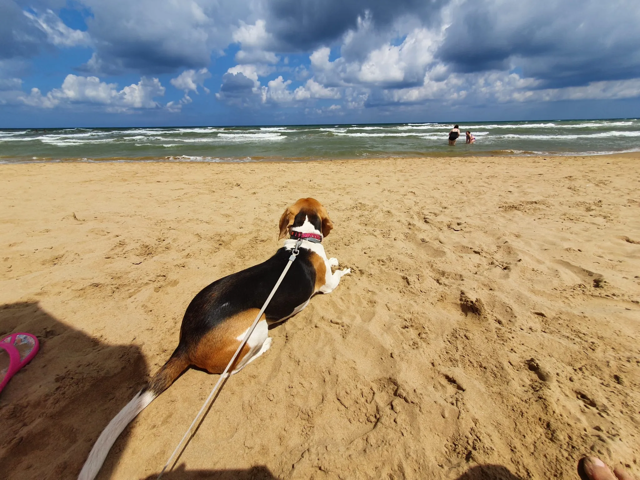 Lussy controlla Francesca