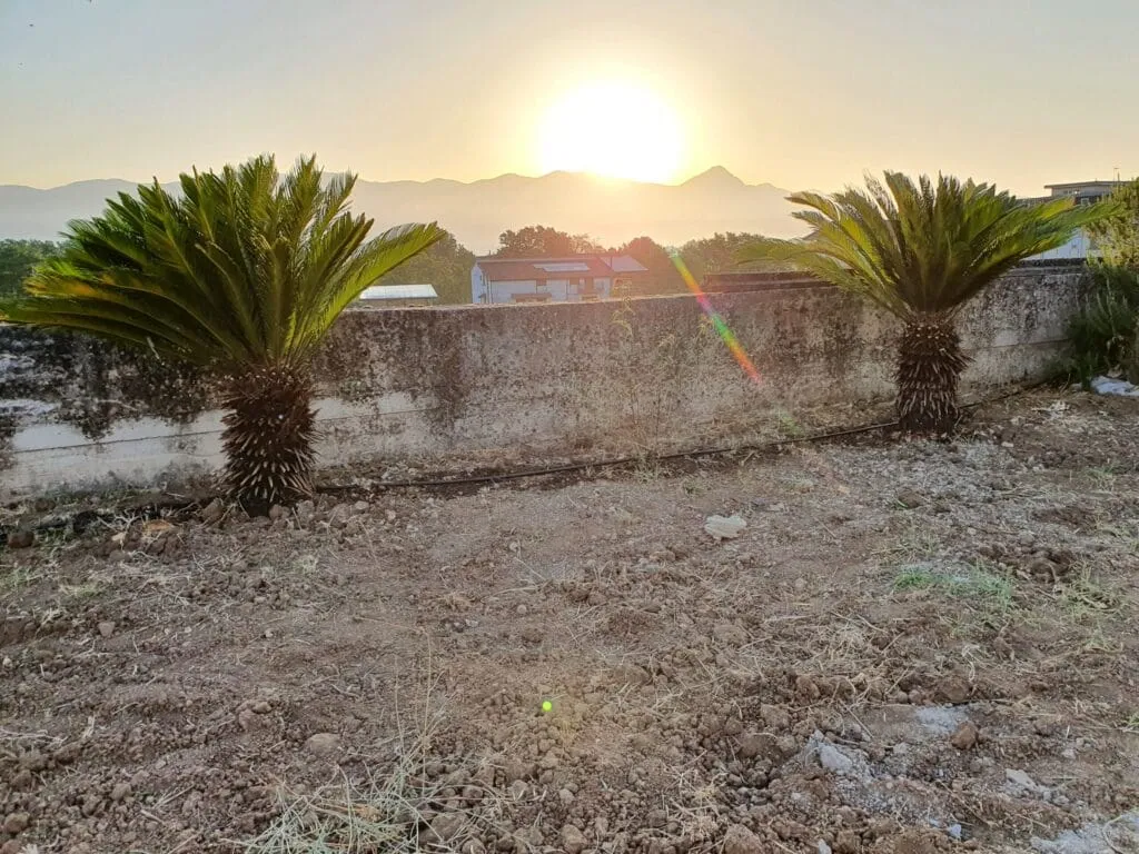 alba a Dragoni con le cicas di Eugenio