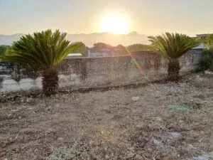 alba a Dragoni con le cicas di Eugenio