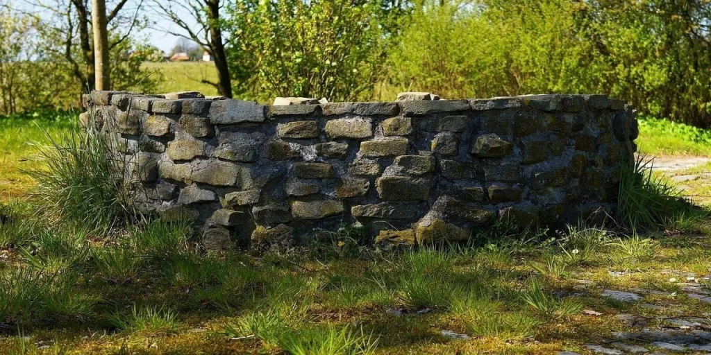 una gallina vanitosa