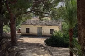 casa nel bosco