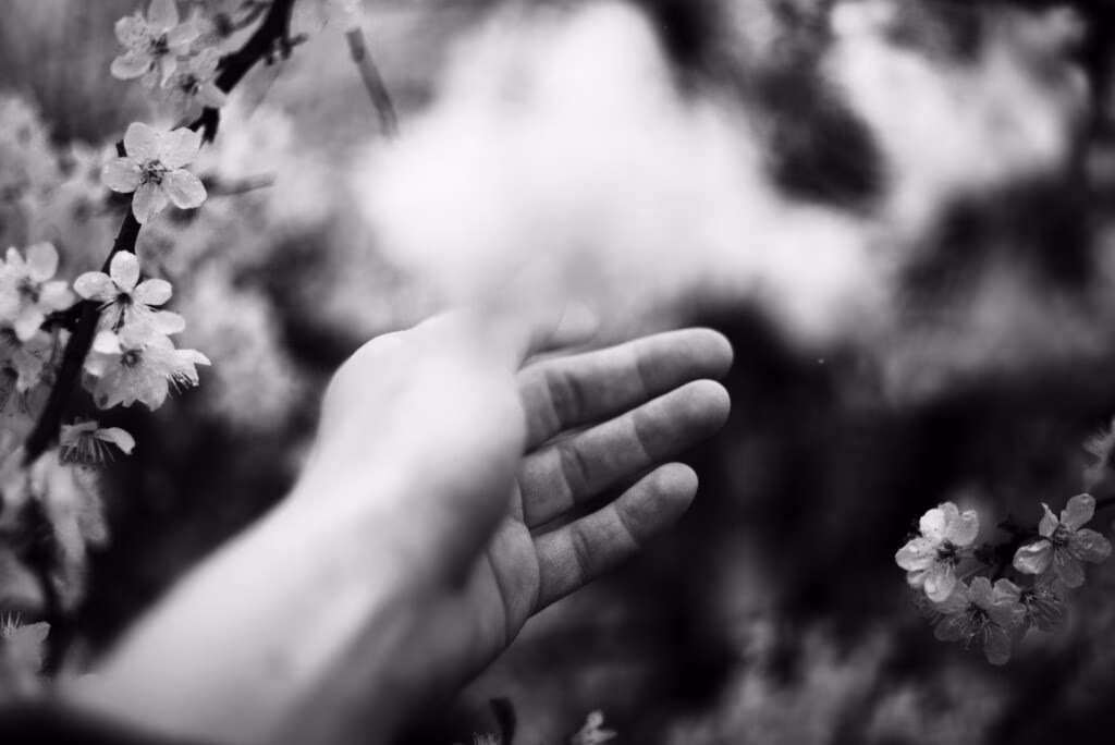 Hand reaches for blossoms in black and white.