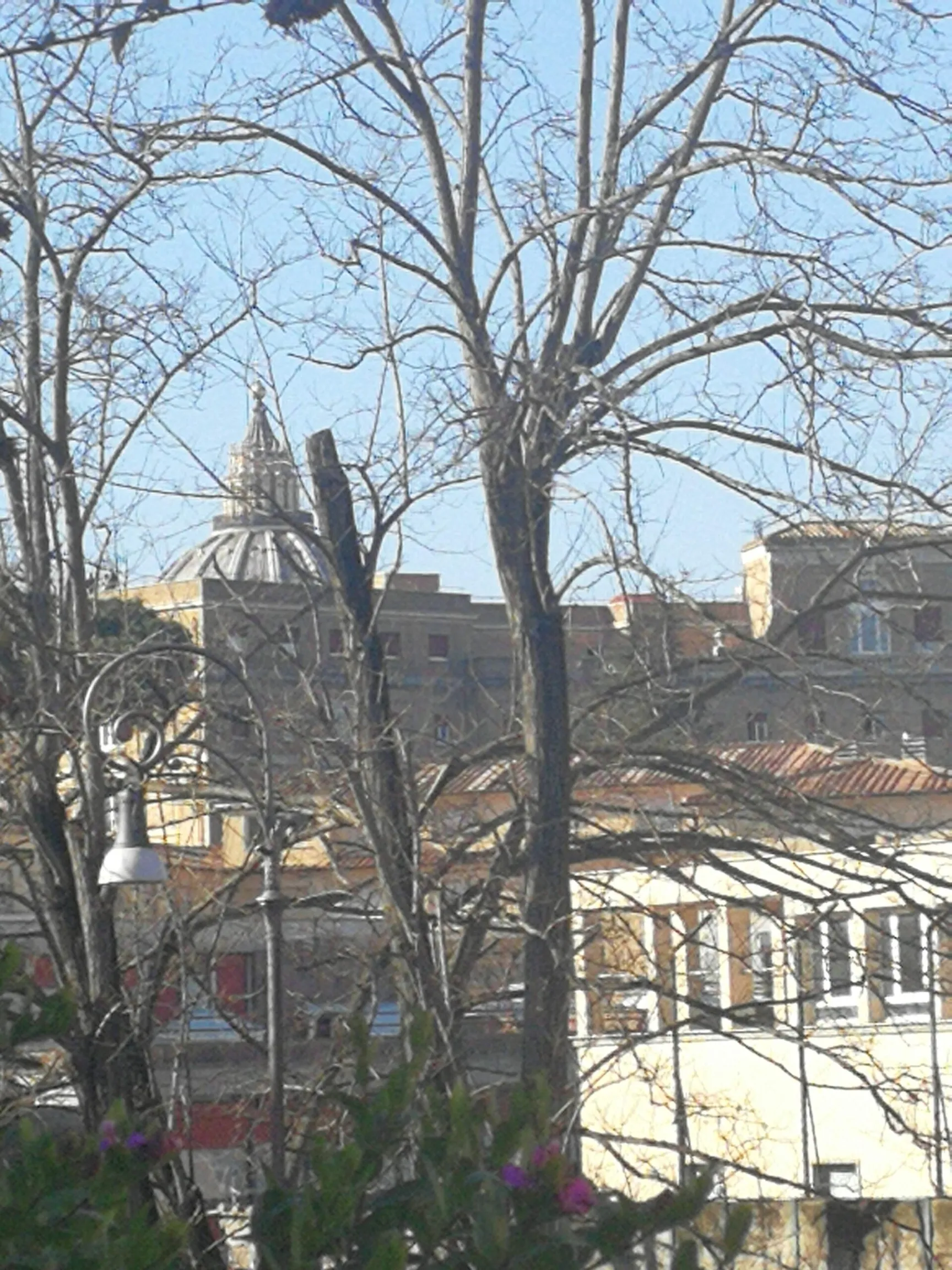 cupolone in lontananza