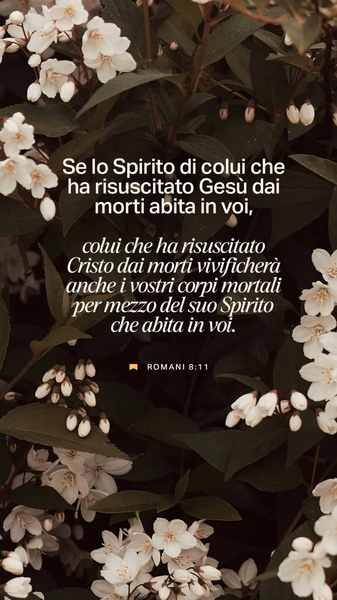 la verità sulla morte