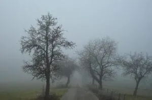 nebbia in campagna