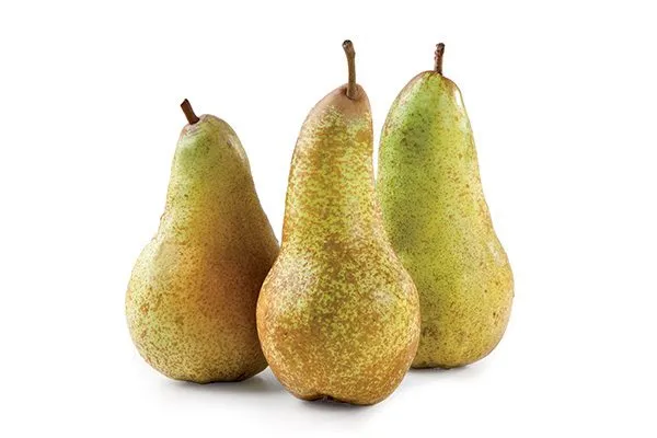 pere abate fetel 600x400