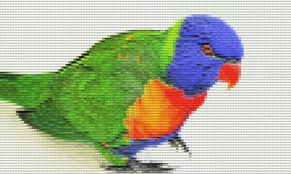 loretta la lorichetta