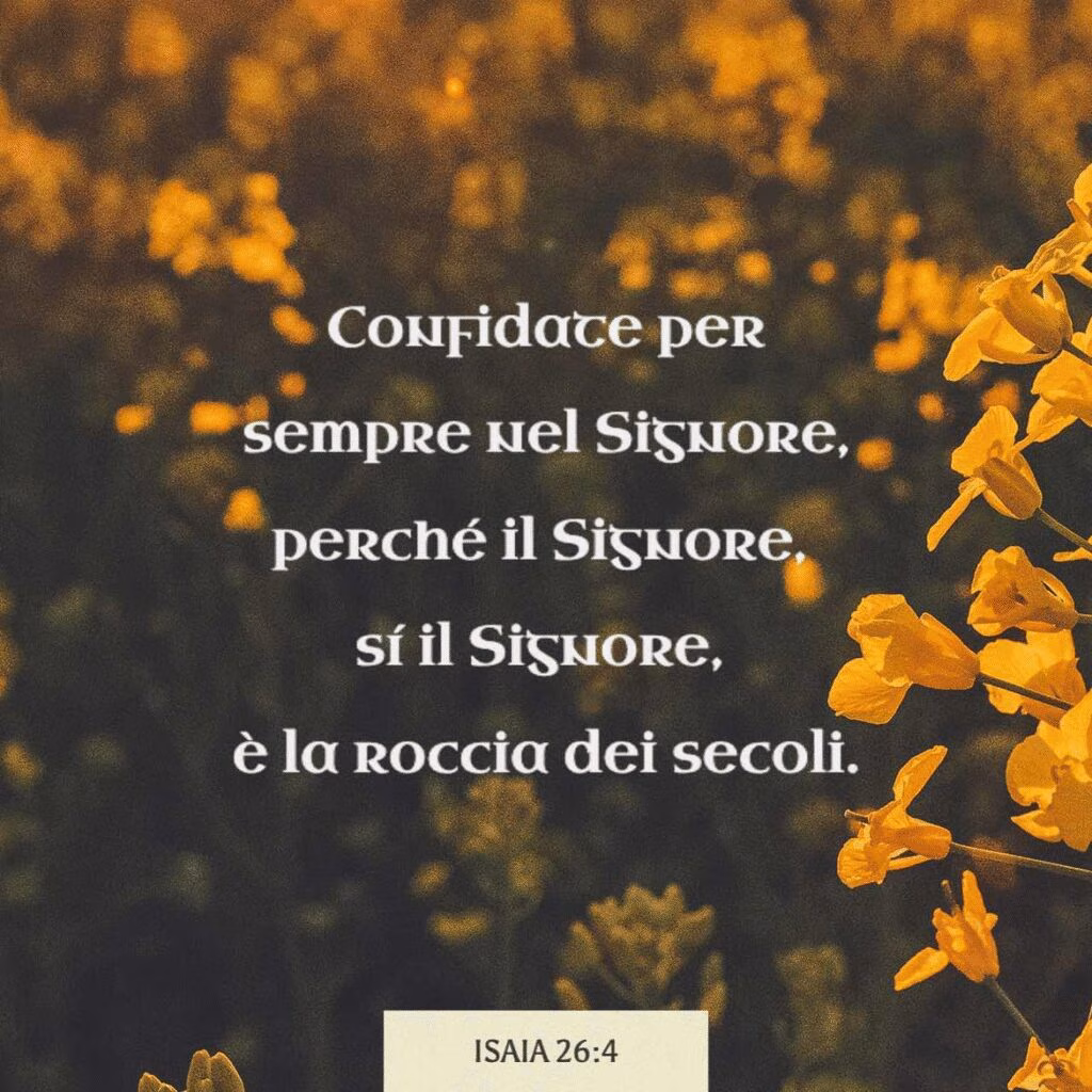 Immagine Png 3ca384ae75b7 1