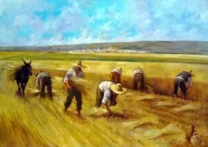 campo di grano