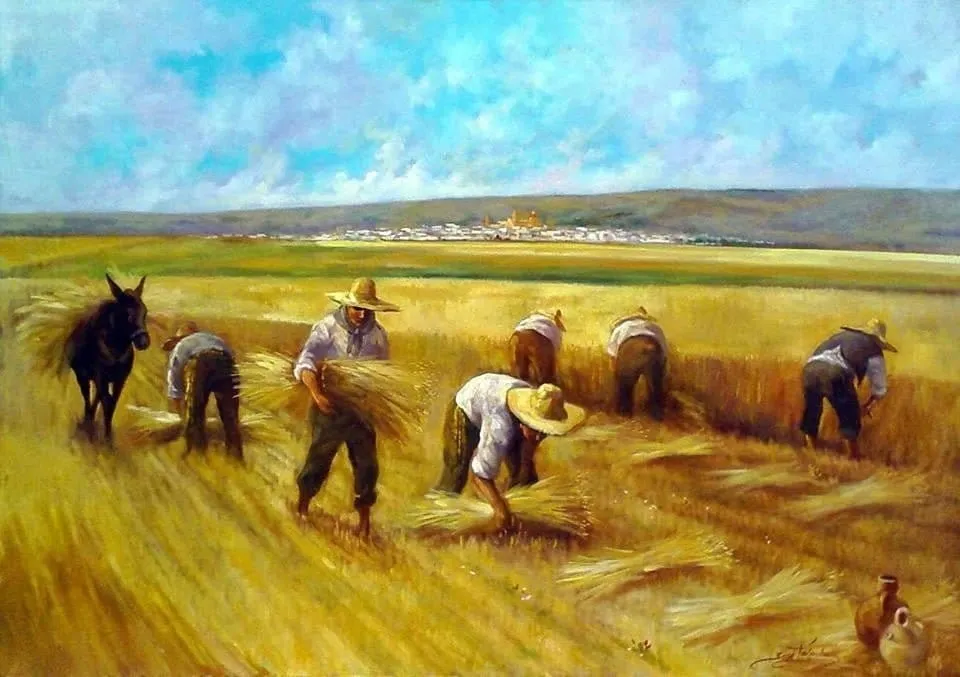 campo di grano