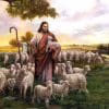 Gesù e le sue pecore