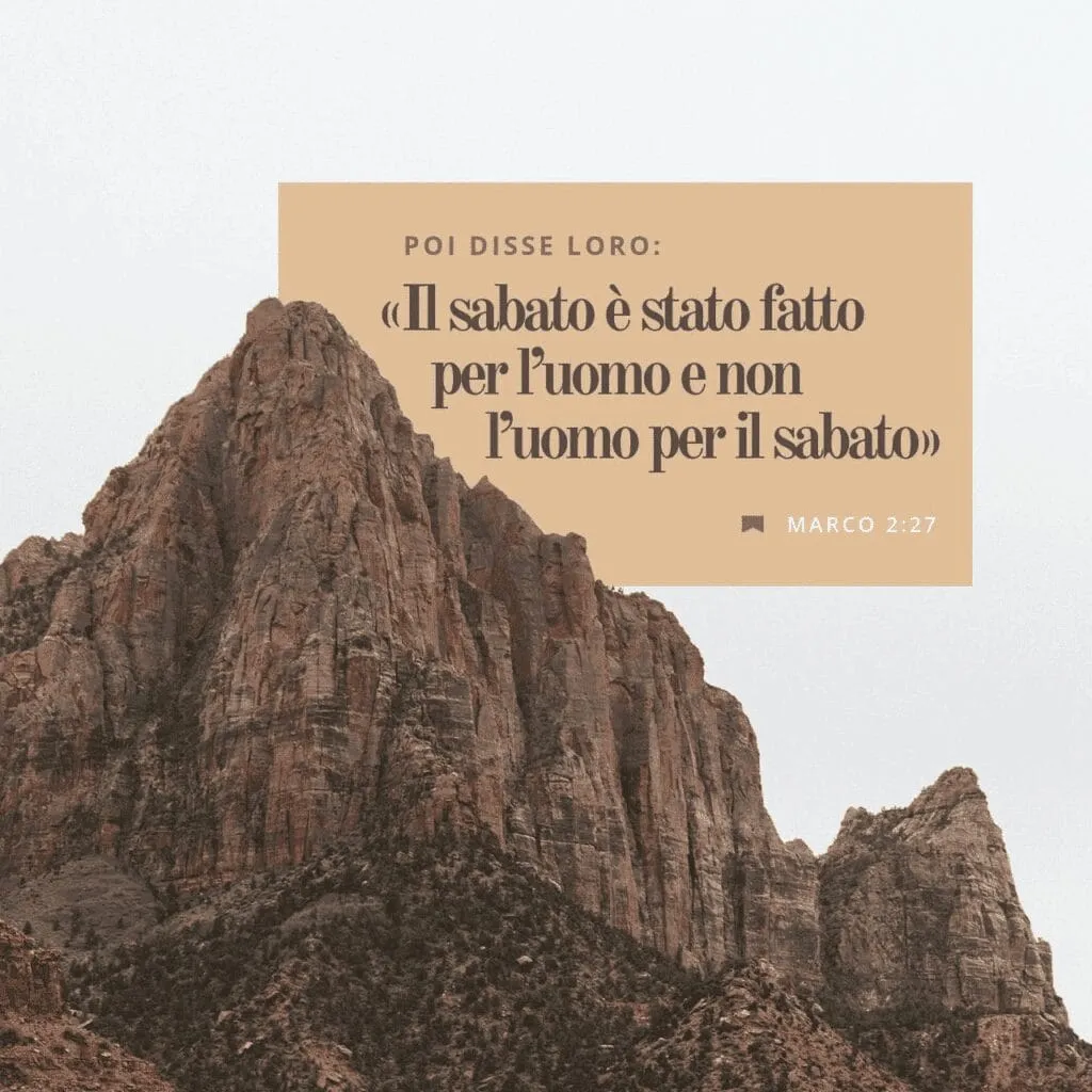 L’albero nel bosco