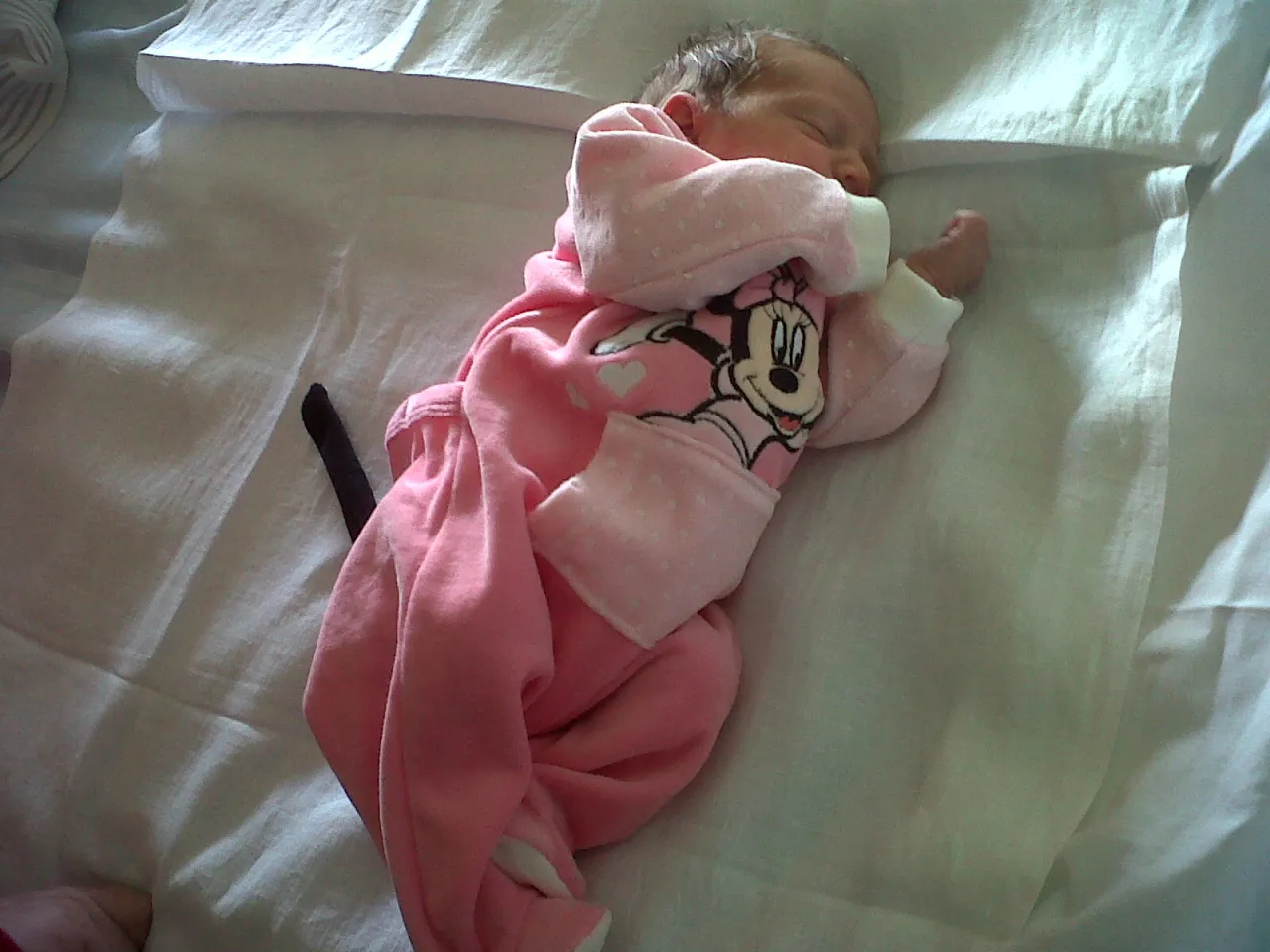 Preghierina del 14 novembre 2022