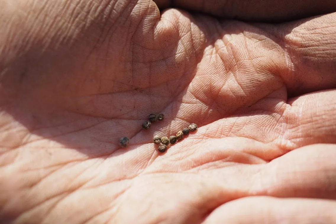 La Parola del 27 gennaio 2023