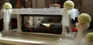 Padre Maestro San Francesco Fasani