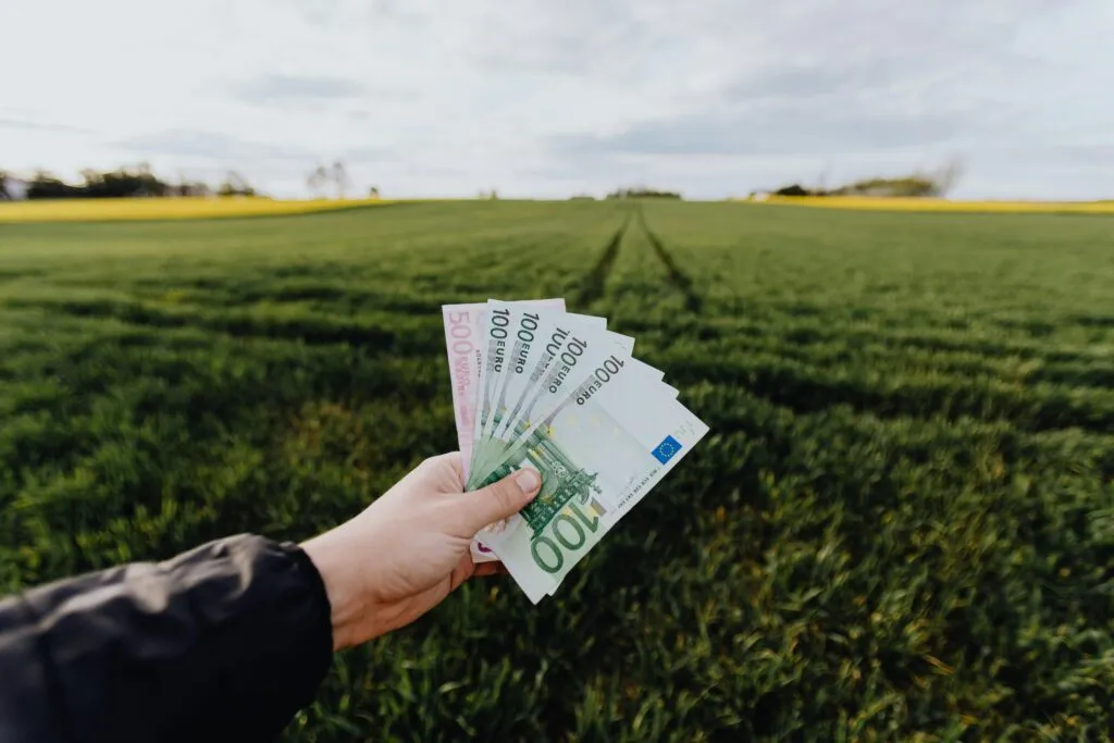 Hand holding euro banknotes against a lush green rural field, symbolizing financial growth.