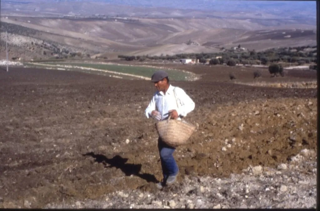 Vangelo del giorno 28 gennaio 2026: Lettura e Riflessione Vangelo del giorno 28 gennaio 2026