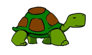 un animale centenario