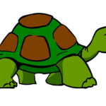 un animale centenario