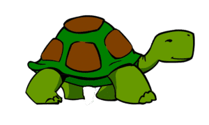 un animale centenario