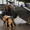 uomo, cane e gatto, homeless