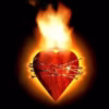 cuore di Cristo infiammato