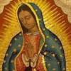 Beata Vergine Maria di Guadalupe