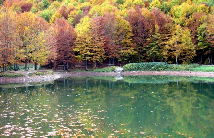 il laghetto d'autunno