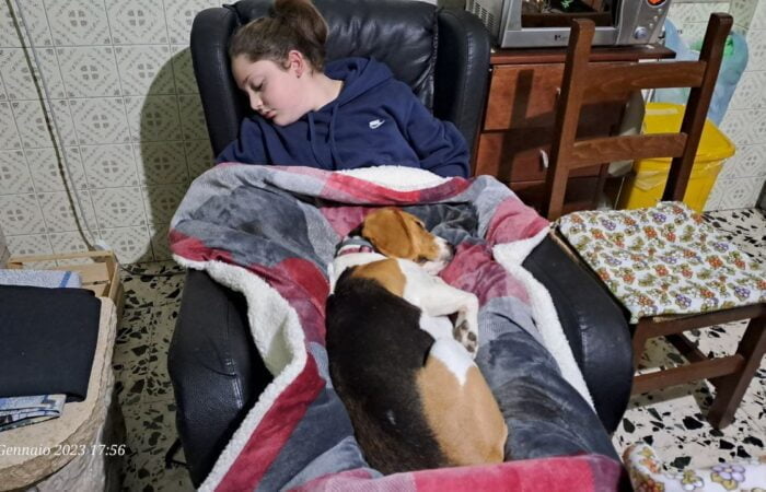 Lussy beagle e Francesca dormono sulla poltrona