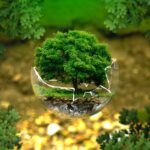 protezione ambientale, albero in bicchiere rotto