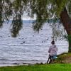 person, lake, tree, seduto sotto un albero