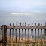 scotland, border, fence, cancello su panorama