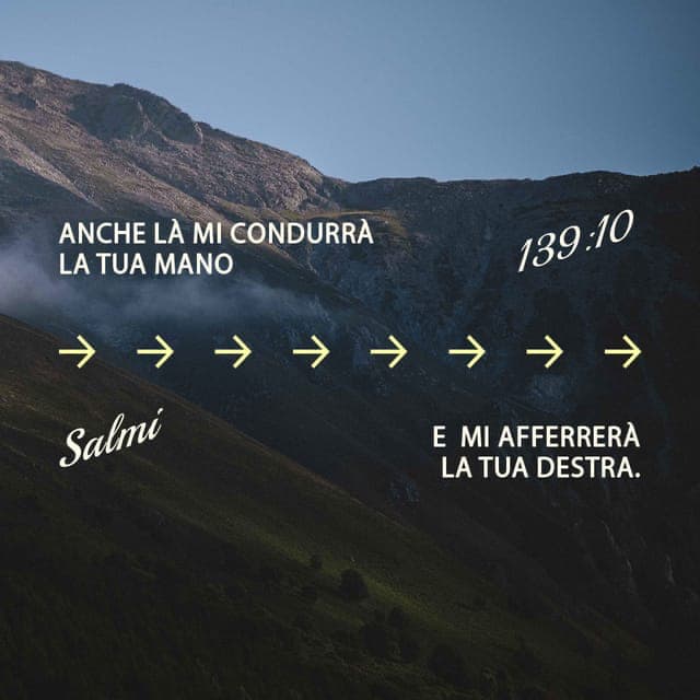 anche là