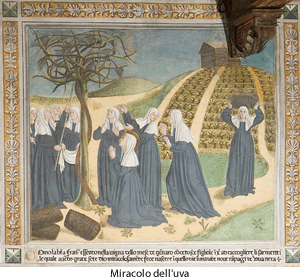 miracolo dell'uva