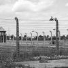 auschwitz, birkenau, the holocaust, the war, concentration camps, nazism, history, prison, jews, europe, world war, memorial, auschwitz, auschwitz, auschwitz, auschwitz, auschwitz, nazism, prison, prison, prison, world war, campo di concentramento