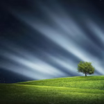 tree, night, nature, landscape, meadow, grass, calm, dream, hills, blue nature, blue landscape, blue tree, blue grass, blue night, blue dream, blue calm, blue natural, grass, calm, dream, dream, dream, dream, dream