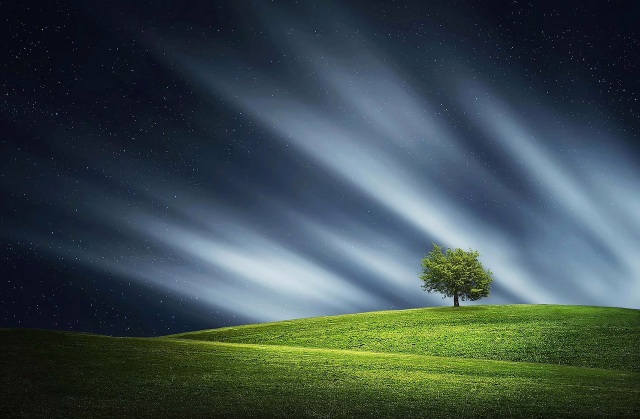 tree, night, nature, landscape, meadow, grass, calm, dream, hills, blue nature, blue landscape, blue tree, blue grass, blue night, blue dream, blue calm, blue natural, grass, calm, dream, dream, dream, dream, dream