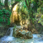 rainforest, jungle, stream, trees, forest, river, landscape, nature, sunbeams, rainforest, rainforest, rainforest, jungle, jungle, jungle, jungle, jungle, forest, forest, river