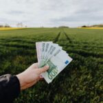 Hand holding euro banknotes against a lush green rural field, symbolizing financial growth.
