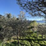 la casa degli abbracci