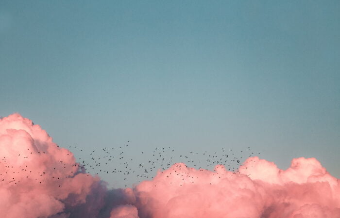 uccelli volano vicino alle nuvole