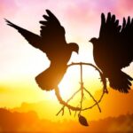 pace, colomba della pace